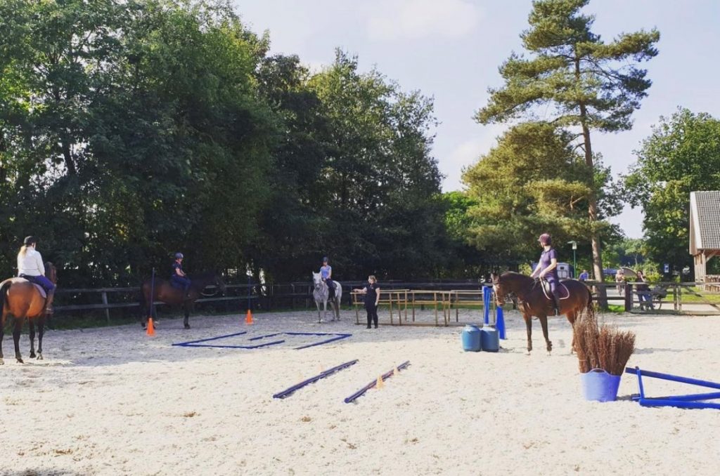 trec training paard grondwerk trail schriktraining